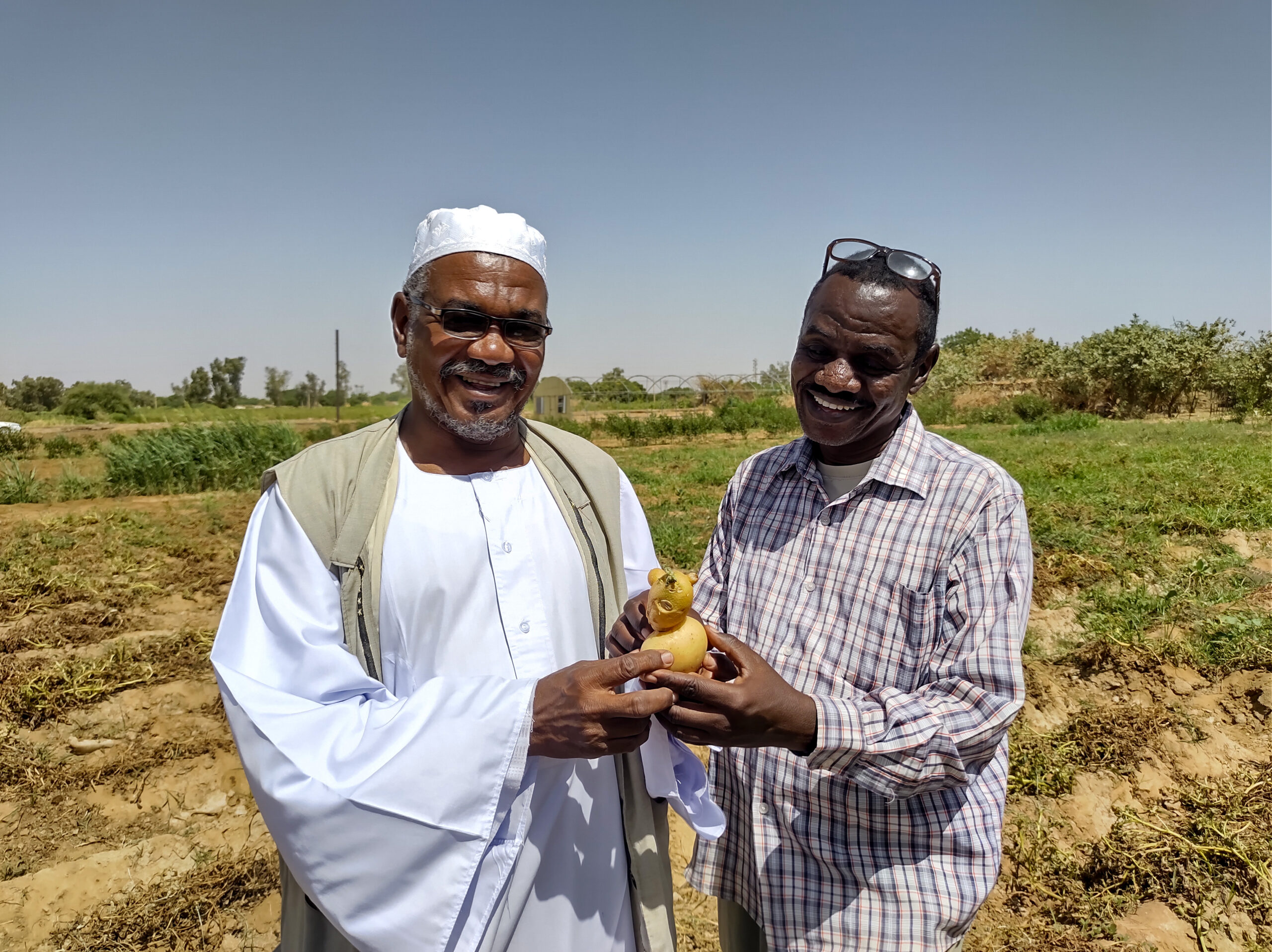 Two men standing in a field smiling while holding a small, yellow, duck-shaped object together. One man wears traditional white clothing and a white cap; the other wears a checkered shirt and glasses.