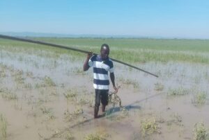Caleb Kure, a tomato farmer in Kisumu County counts losses caused by flooding