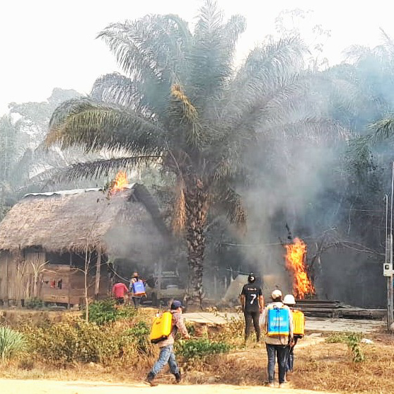 Several people carrying yellow containers are attempting to extinguish a fire burning a thatched-roof structure and nearby palm trees.