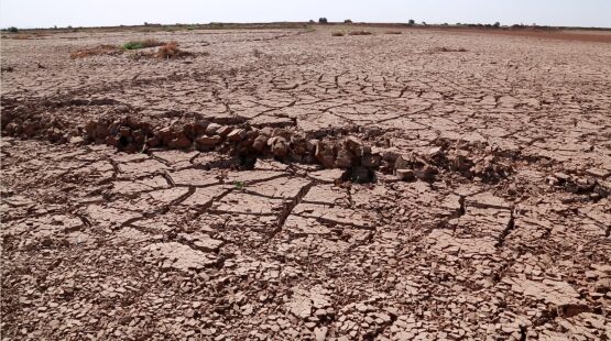 A dry, cracked landscape with minimal vegetation under an overcast sky.