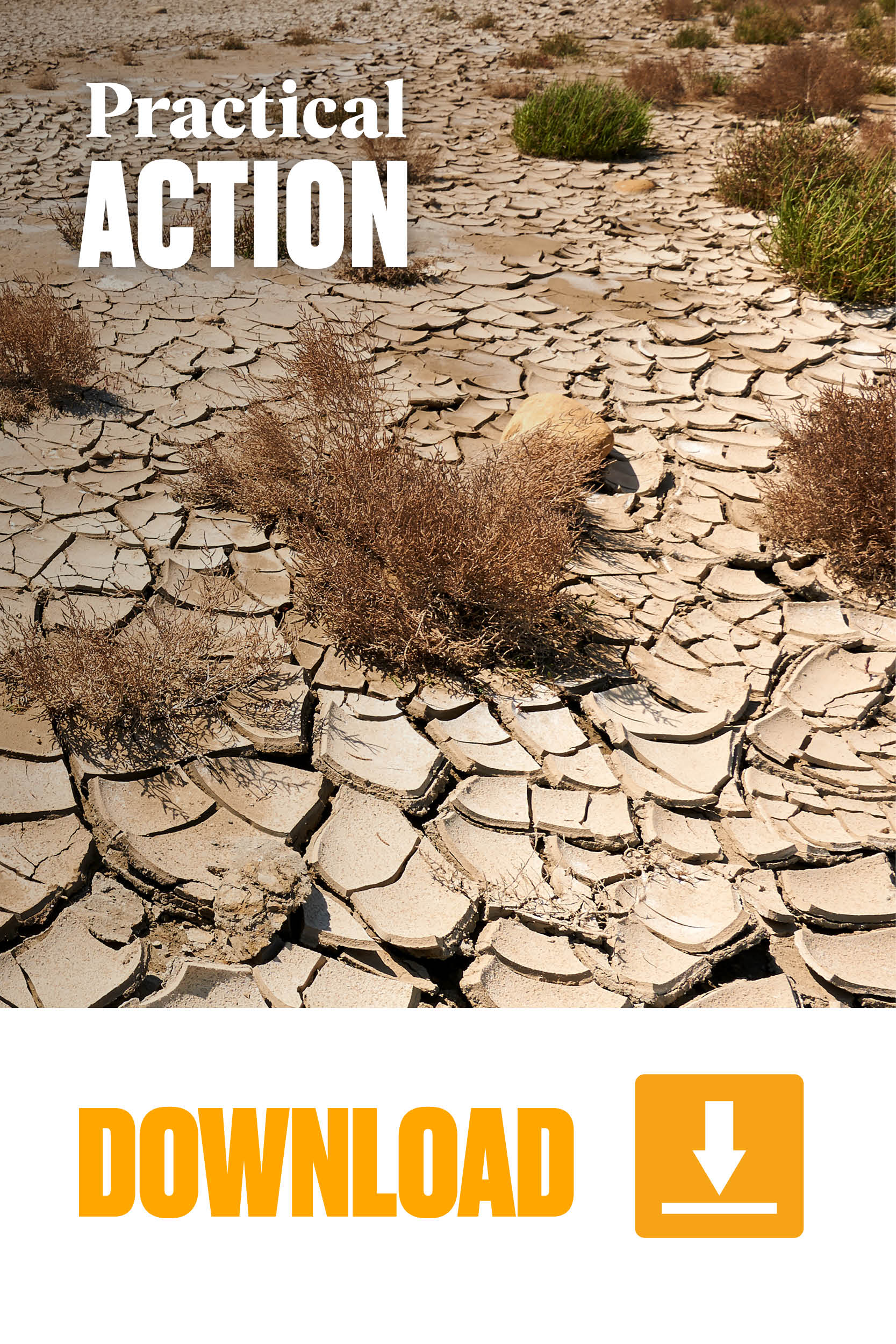 Cover image of Assessing and addressing-climate induced loss and damage in Bangladesh