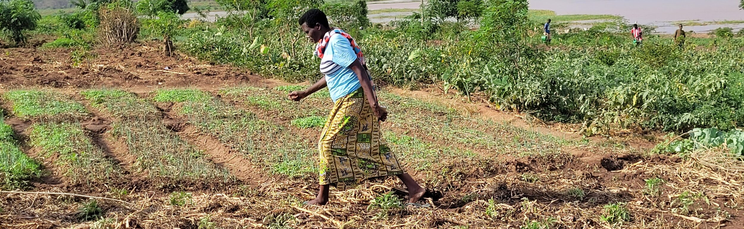 Person walking through a field with sparse vegetation, carrying a small bag. Vegetation and water can be seen in the background.
