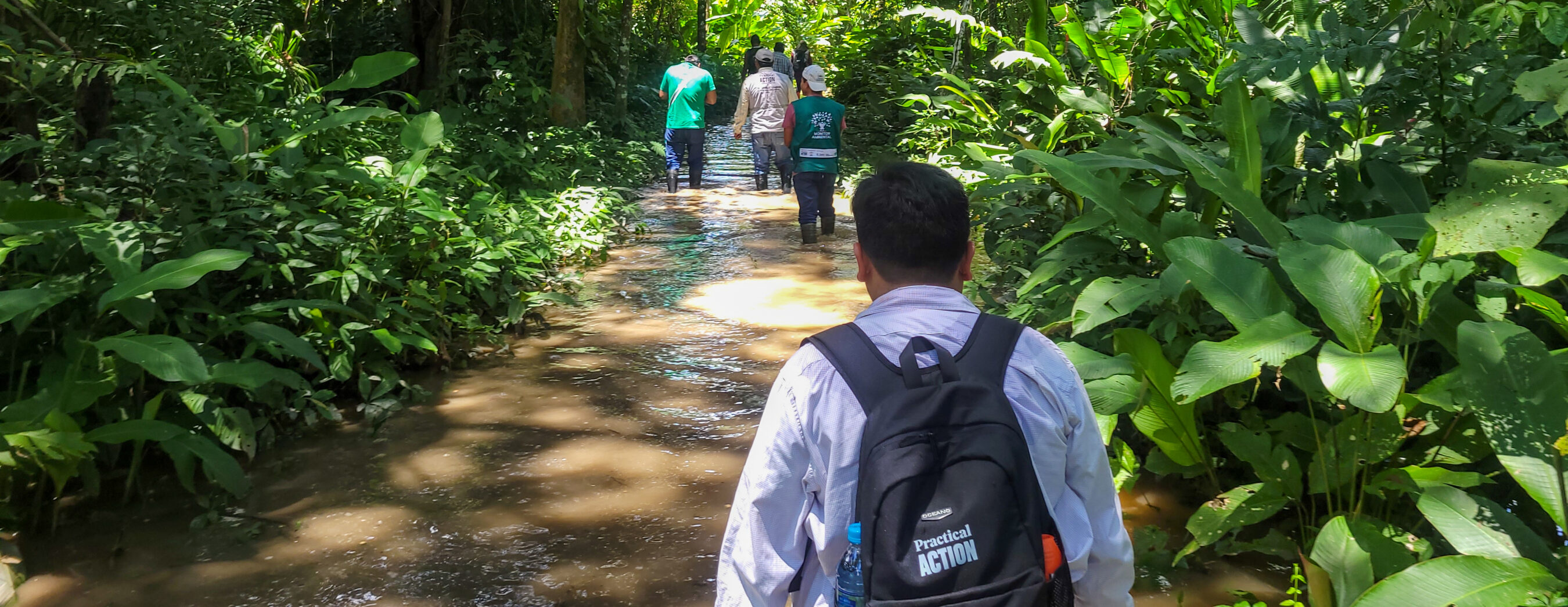 A group of people walks through a lush, green jungle on a muddy, flooded path. The person in the foreground carries a backpack.
