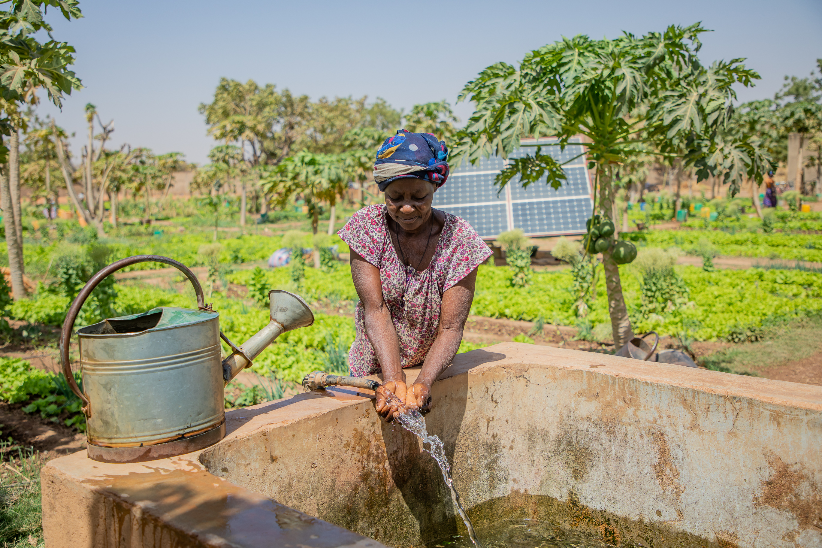 Farmers have benefitted from a solar powered irrigation system installed by Practical Action