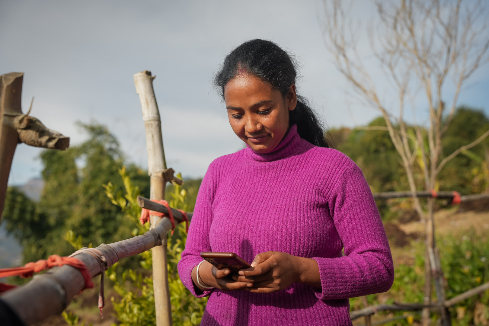 Person in a purple sweater stands outdoors, looking at a smartphone. Wooden fences and trees are in the background.