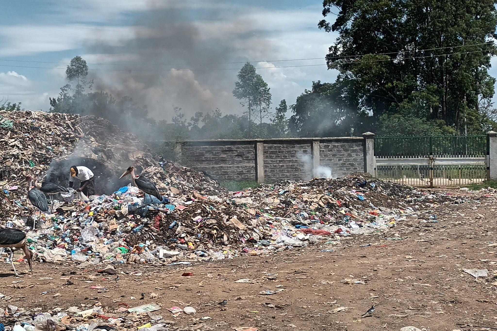 A large pile of burning garbage with smoke rising, surrounded by birds and a person scavenging. Trees and a wall are visible in the background under a partly cloudy sky.