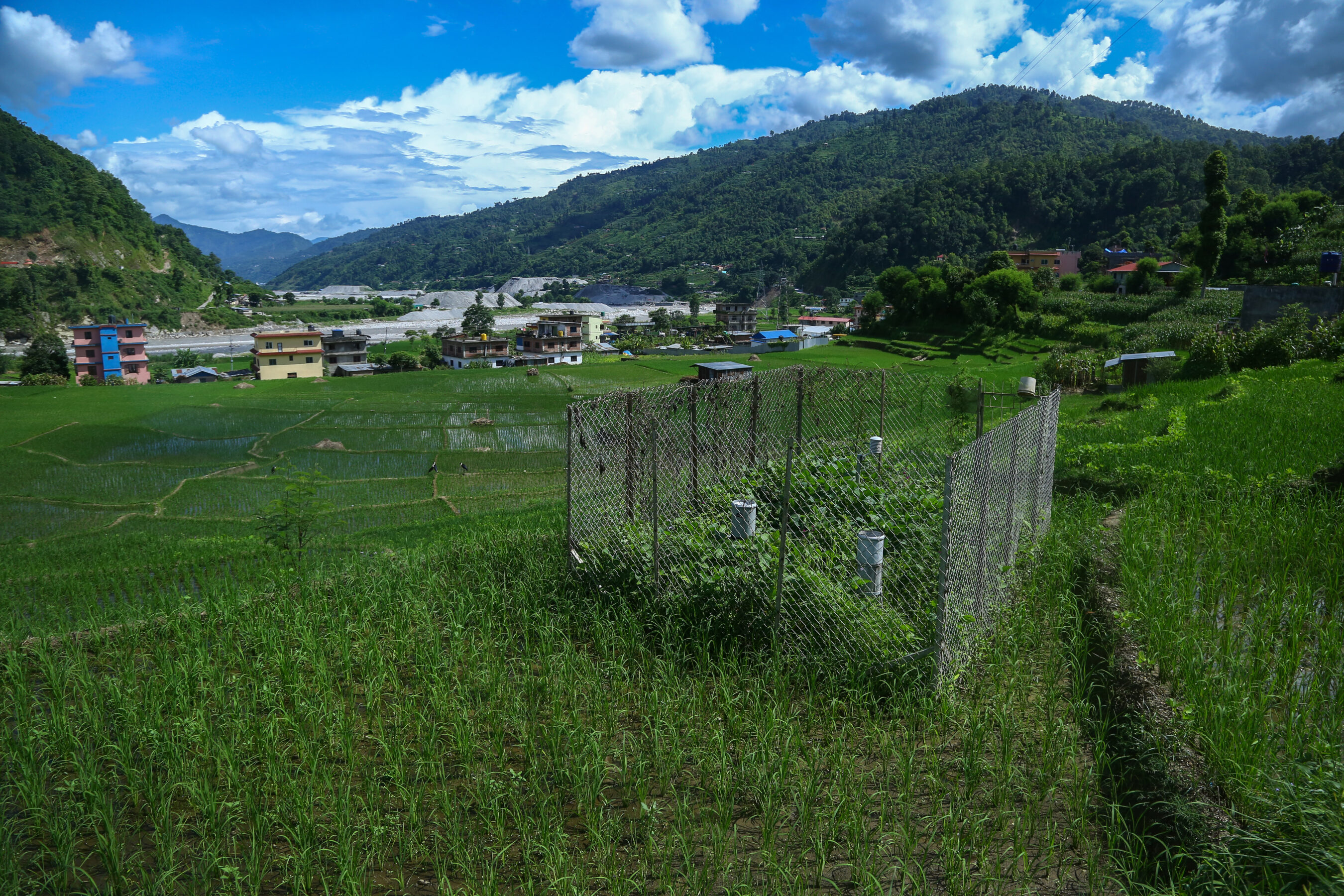 A fenced area in the middle of green rice paddies with houses, a river, and forested hills in the background under a partly cloudy sky.