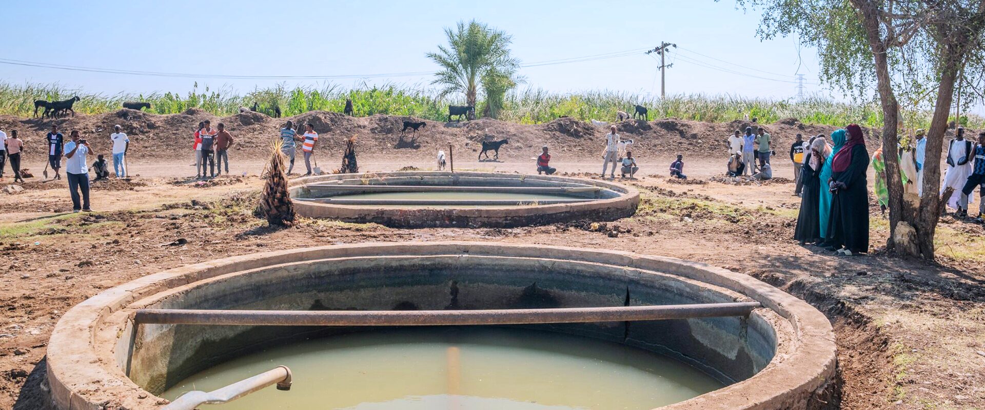 People stand and gather around large circular water tanks in an outdoor, rural setting with trees, vegetation, and animals visible in the background.