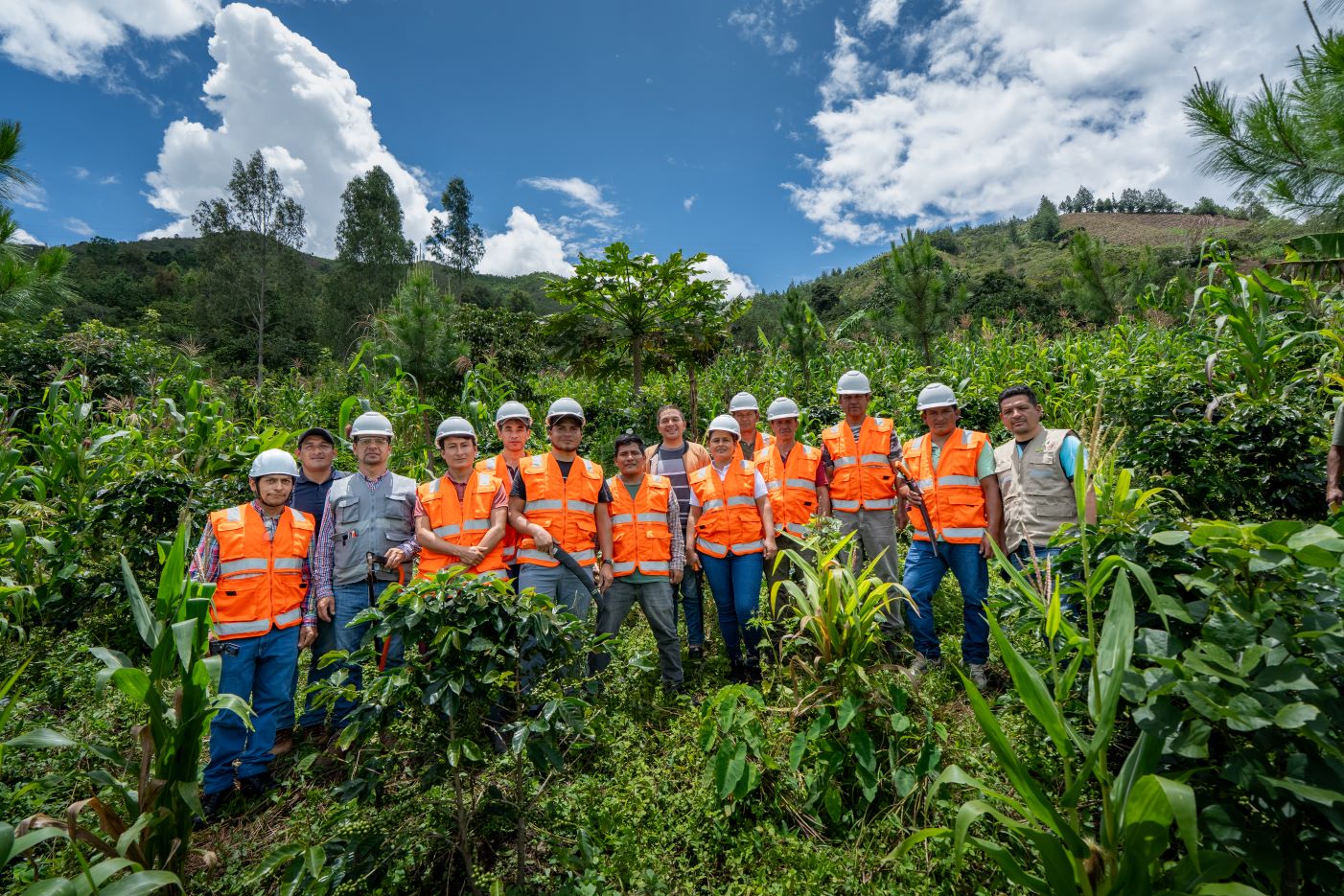 A group of people in orange safety vests and helmets stand together in a green, outdoor, rural area with trees and plants under a partly cloudy sky.
