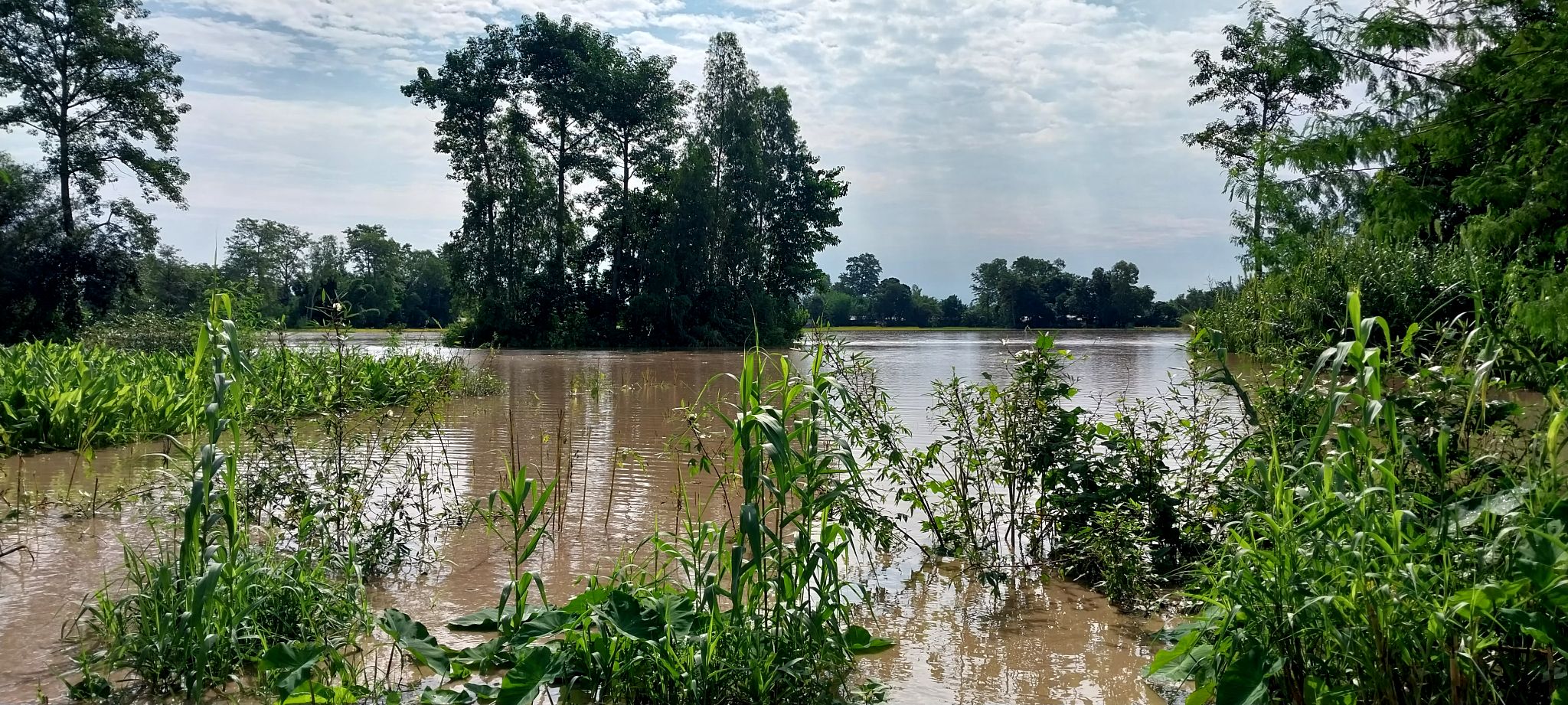 Flooded river with muddy water, partially submerged vegetation, and trees on the riverbank under a partly cloudy sky.
