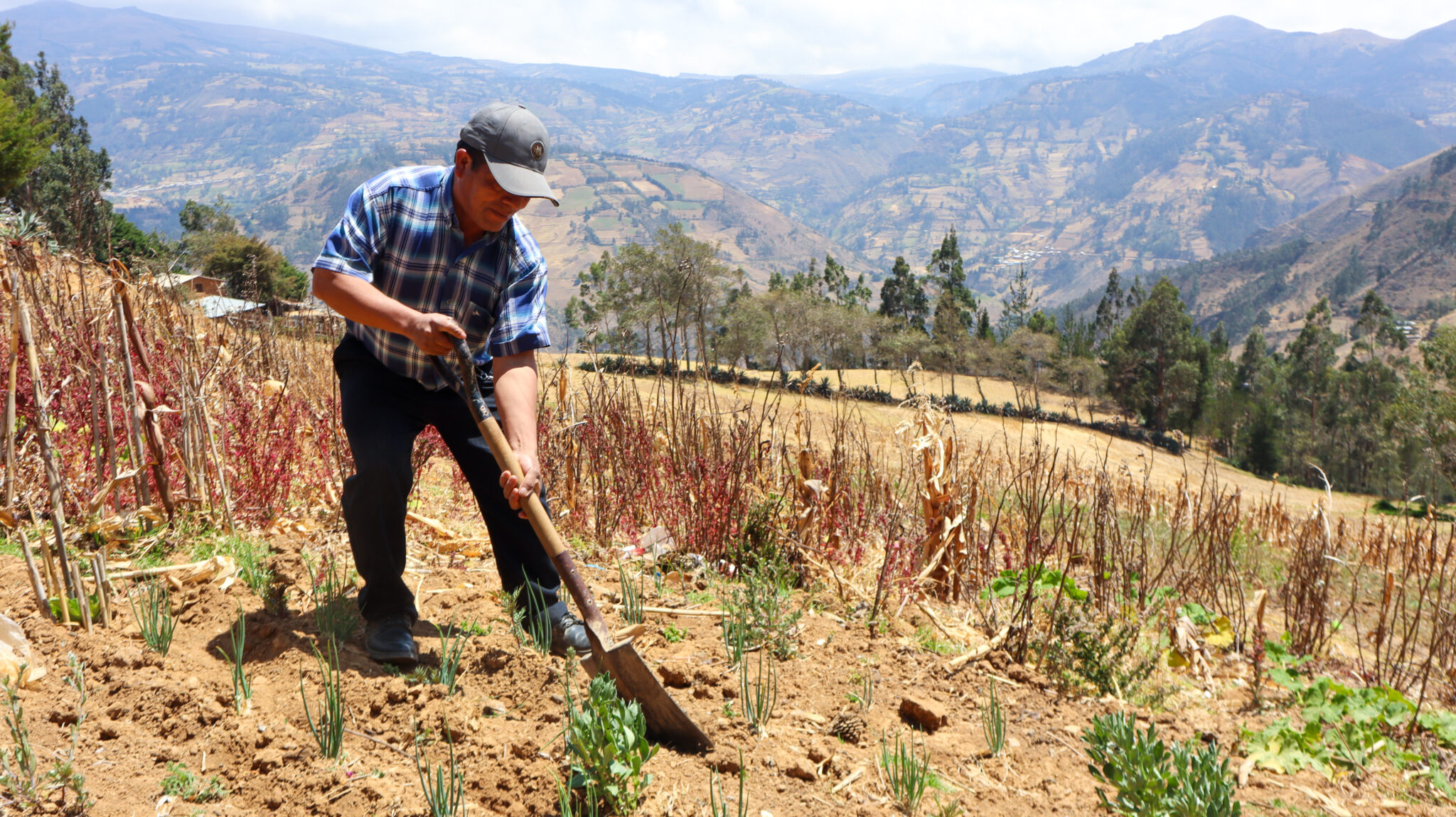 A man uses a hoe to work the soil in a rural field on a hillside, with mountains and terraced farmland visible in the background.