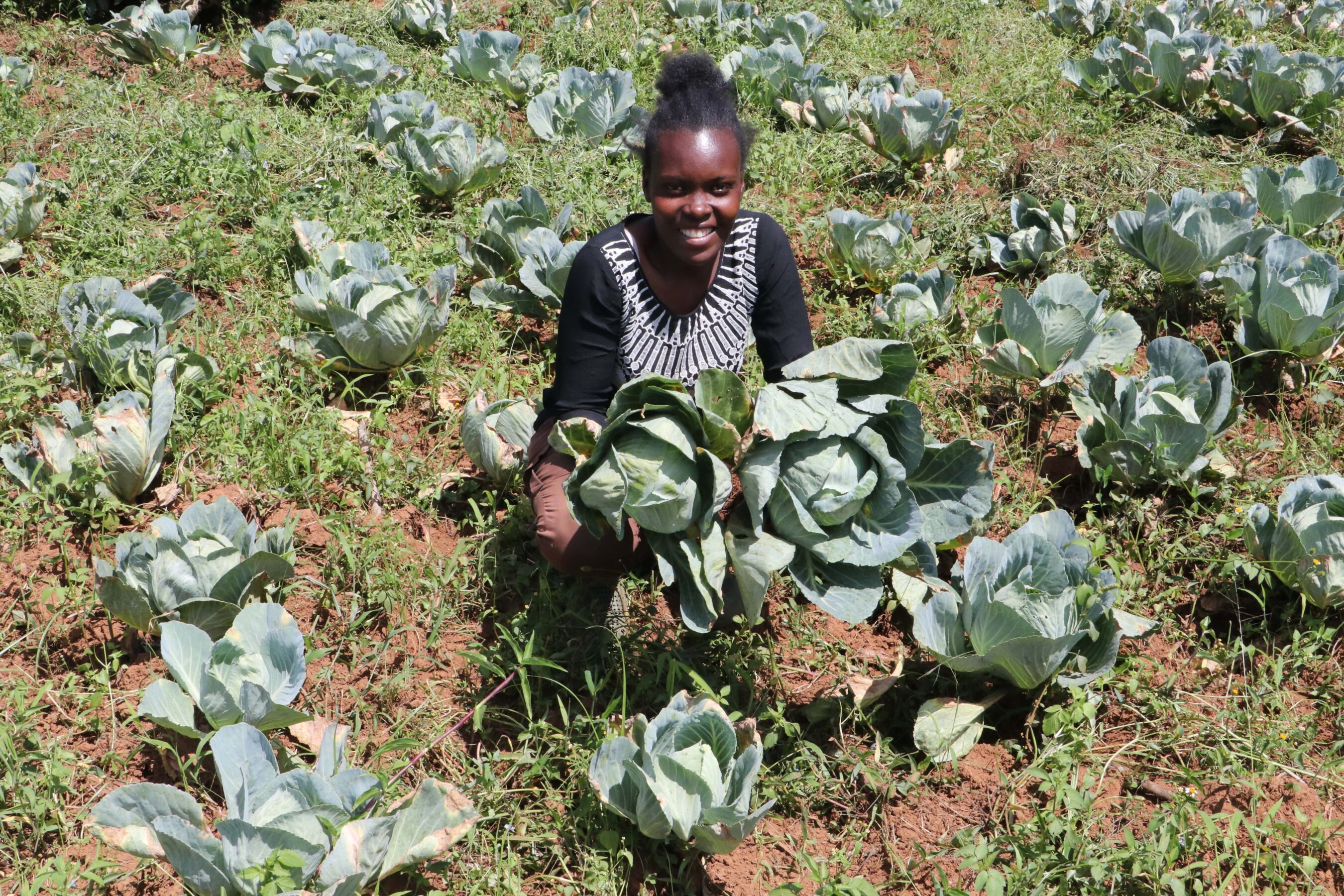 A person kneels in a field of cabbages, holding a large cabbage and smiling at the camera.