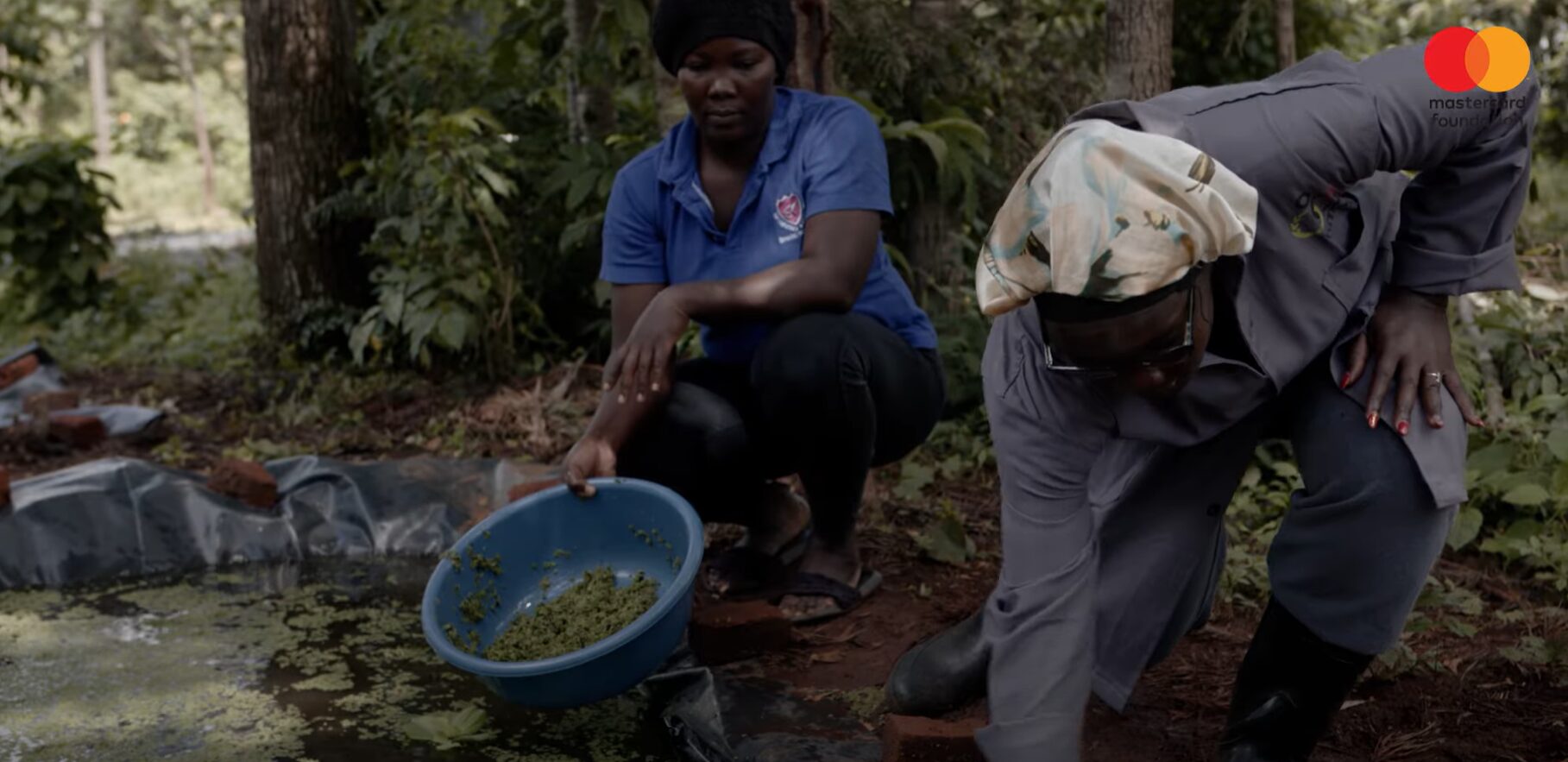 Two women work outdoors; one squats holding a blue bowl with green leafy material, while the other bends over near a shallow pond. Mastercard Foundation logo is in the top right corner.