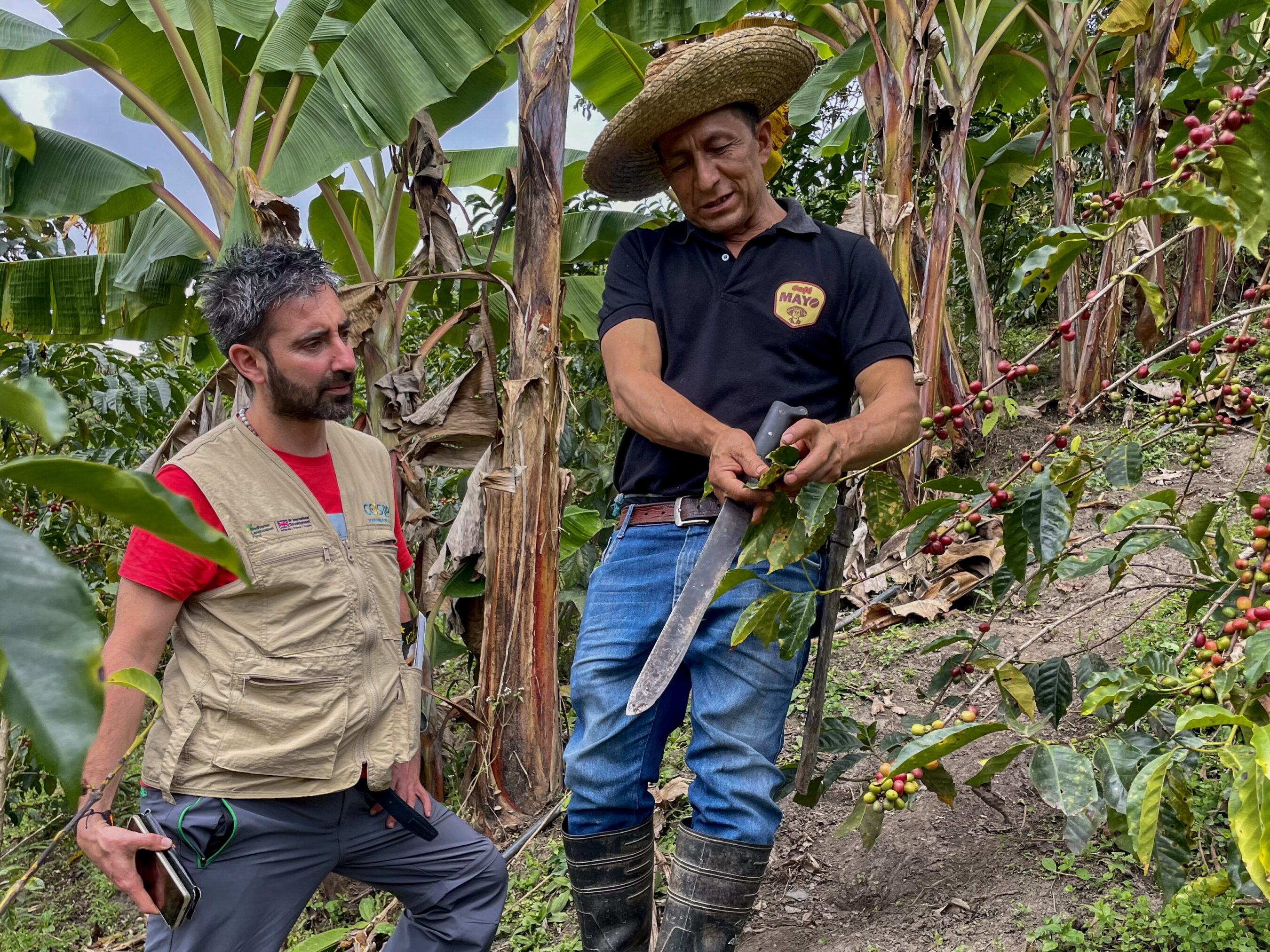 A man in a straw hat holding a knife next to a man in a banana plantation.