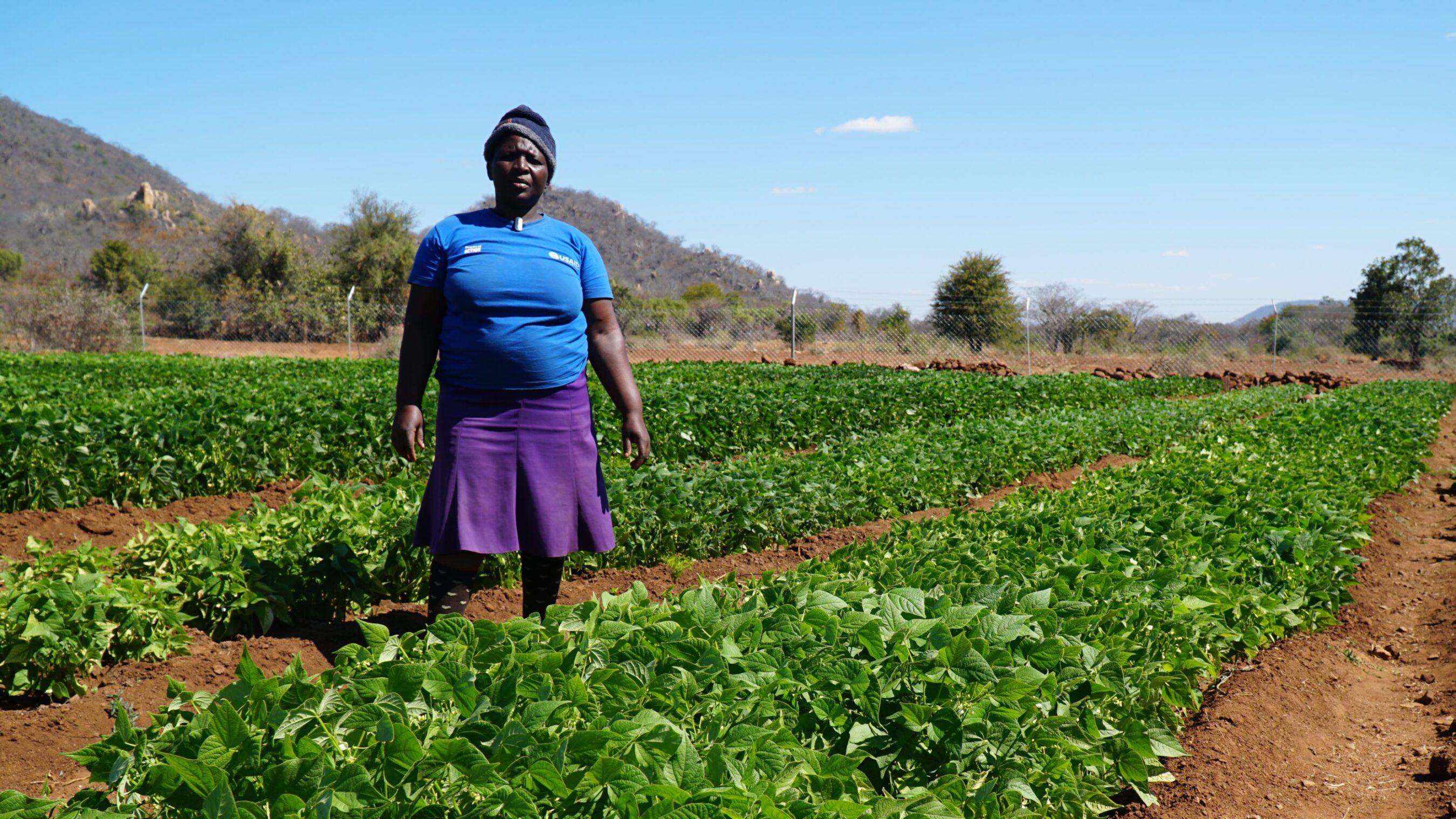 A woman stands in the middle of a well-maintained green vegetable field with hills and trees in the background under a clear sky.