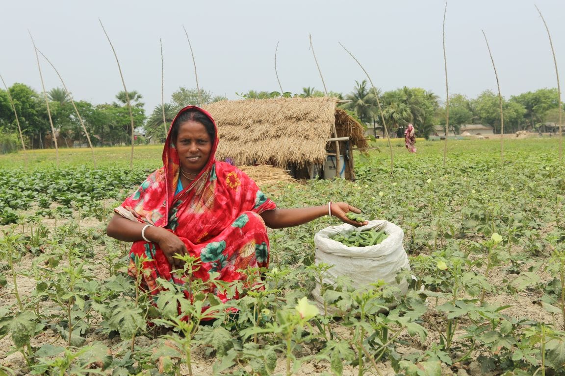 A woman in a colorful sari crouches in a vegetable field beside a white sack of harvested produce, with a thatched hut and green trees in the background.