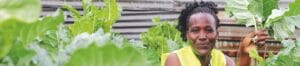 A woman wearing a yellow top holds leafy green vegetables in a garden with corrugated metal sheets in the background.