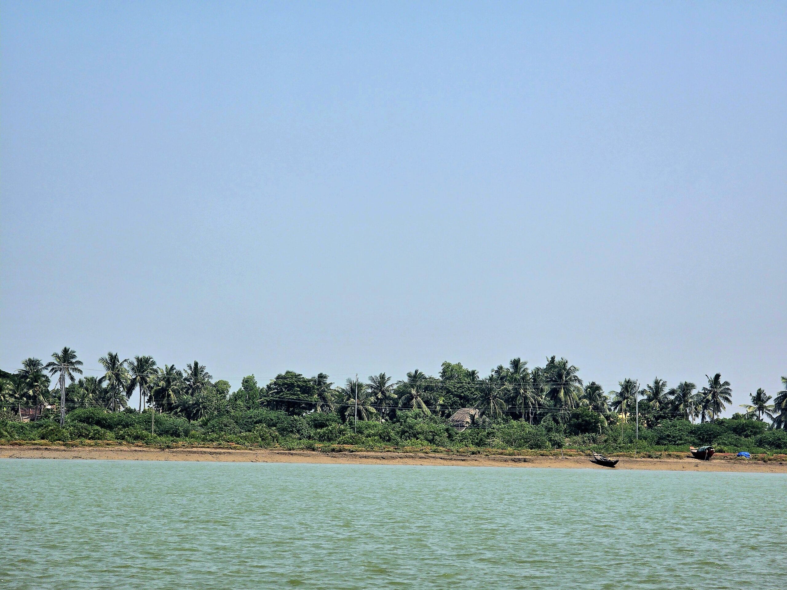 Calm river water in the foreground, sandy shore and dense green palm trees in the background under a clear blue sky.