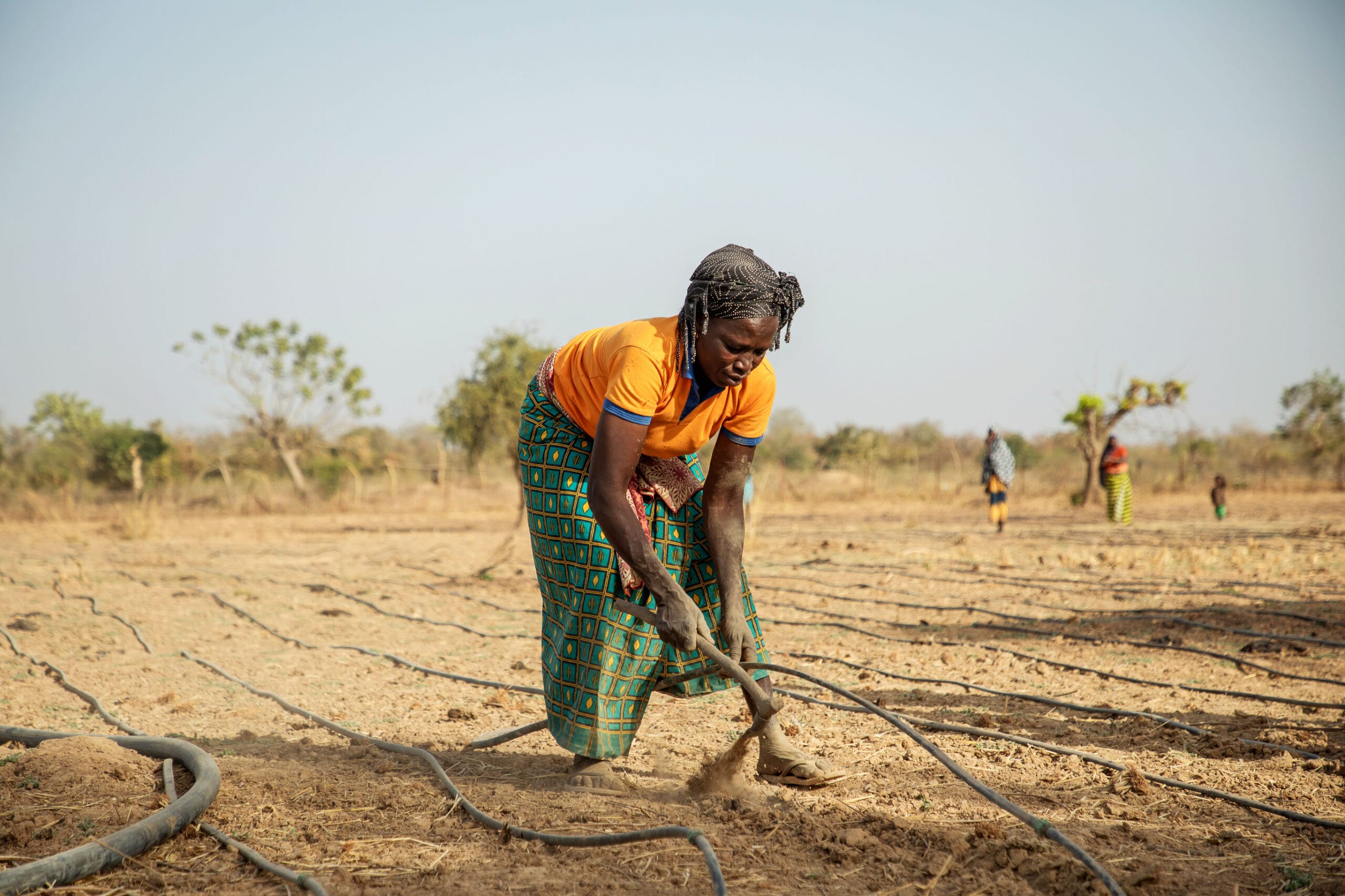 A woman in an orange shirt and patterned skirt works with a tool on dry, dusty soil with irrigation pipes laid out; a few people can be seen in the background on the field.