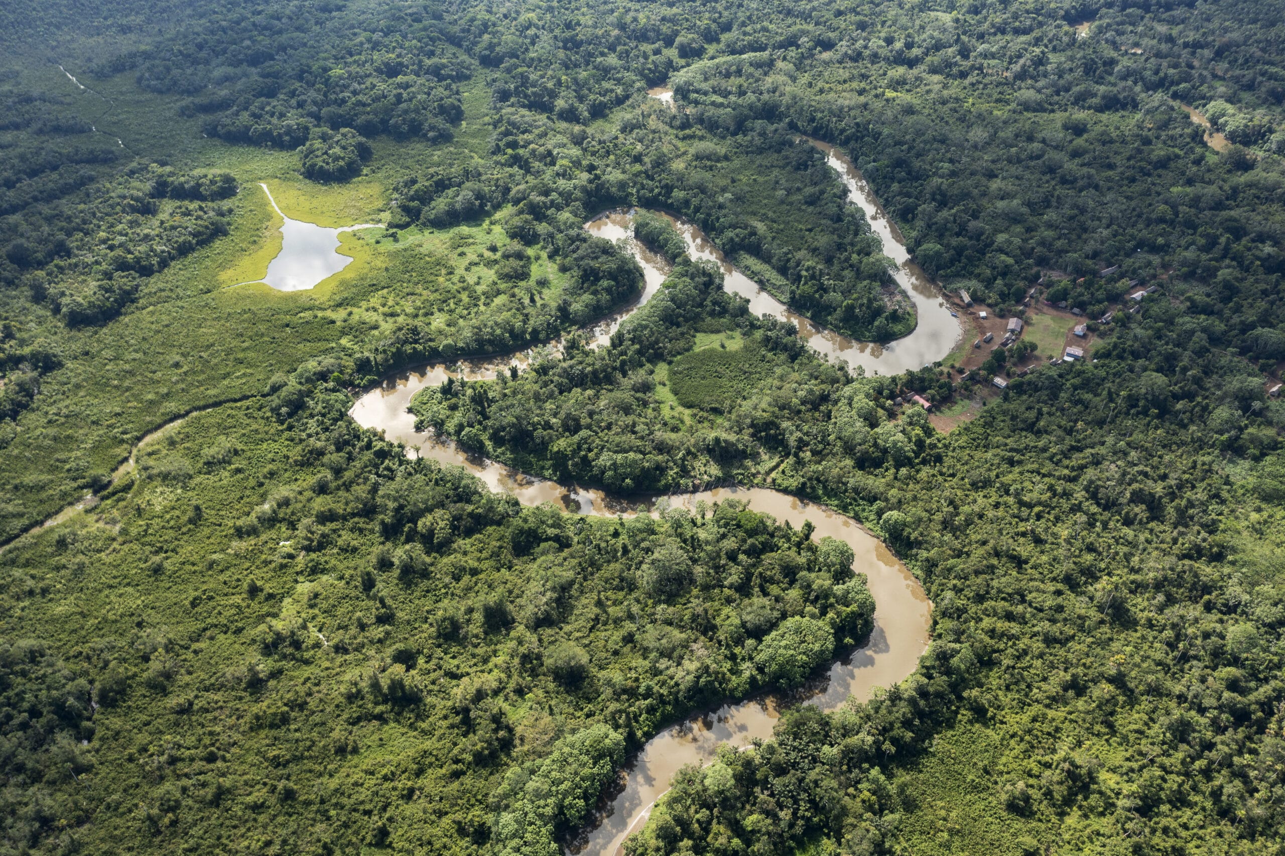 Aerial view of a winding river cutting through dense, lush green forest with patches of open water and scattered small buildings along the riverbank.