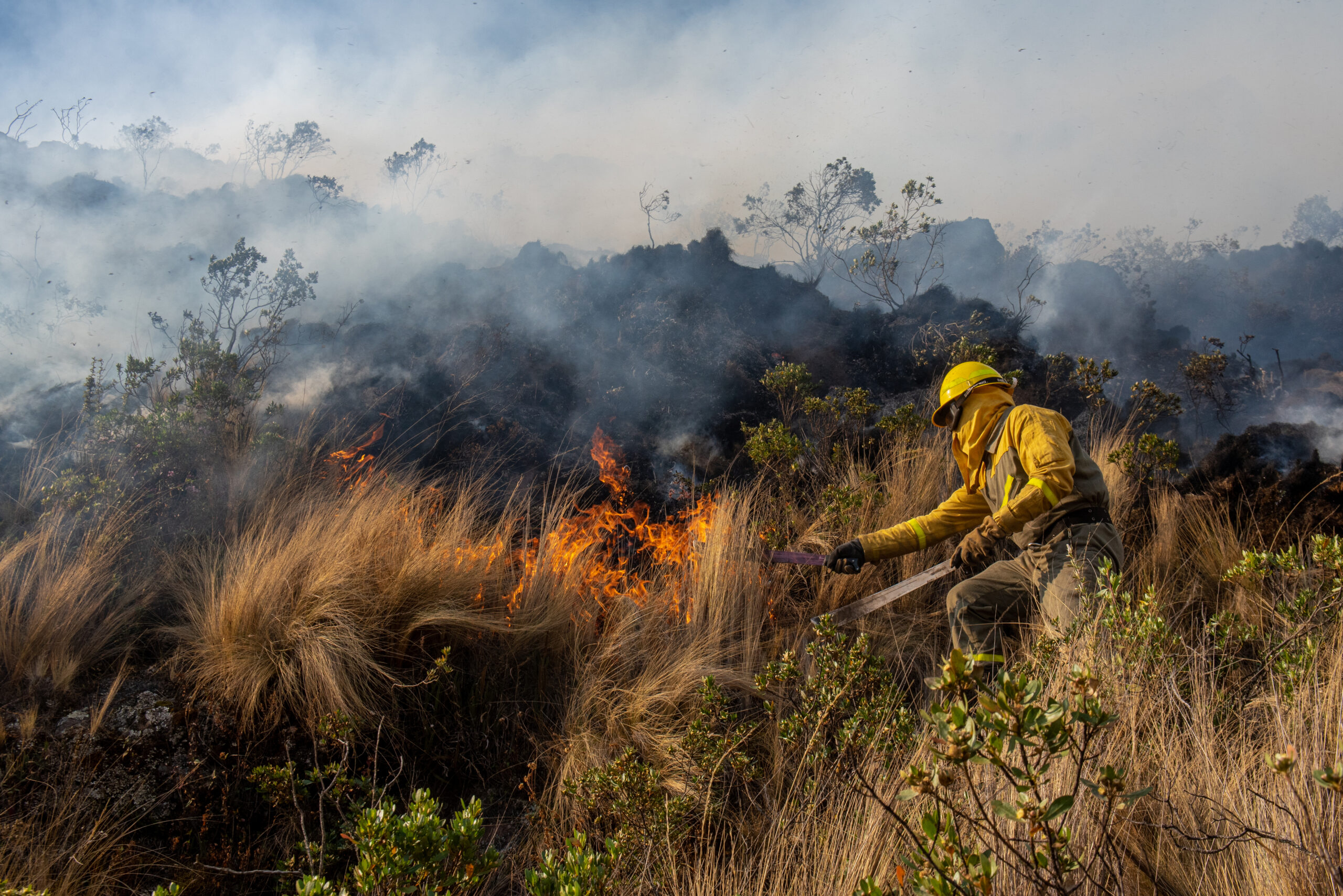 A firefighter in yellow protective clothing uses a tool to control a wildfire burning through dry grass and shrubs, with smoke rising into the sky and scorched ground in the background. Photo by Lukas Isaac.