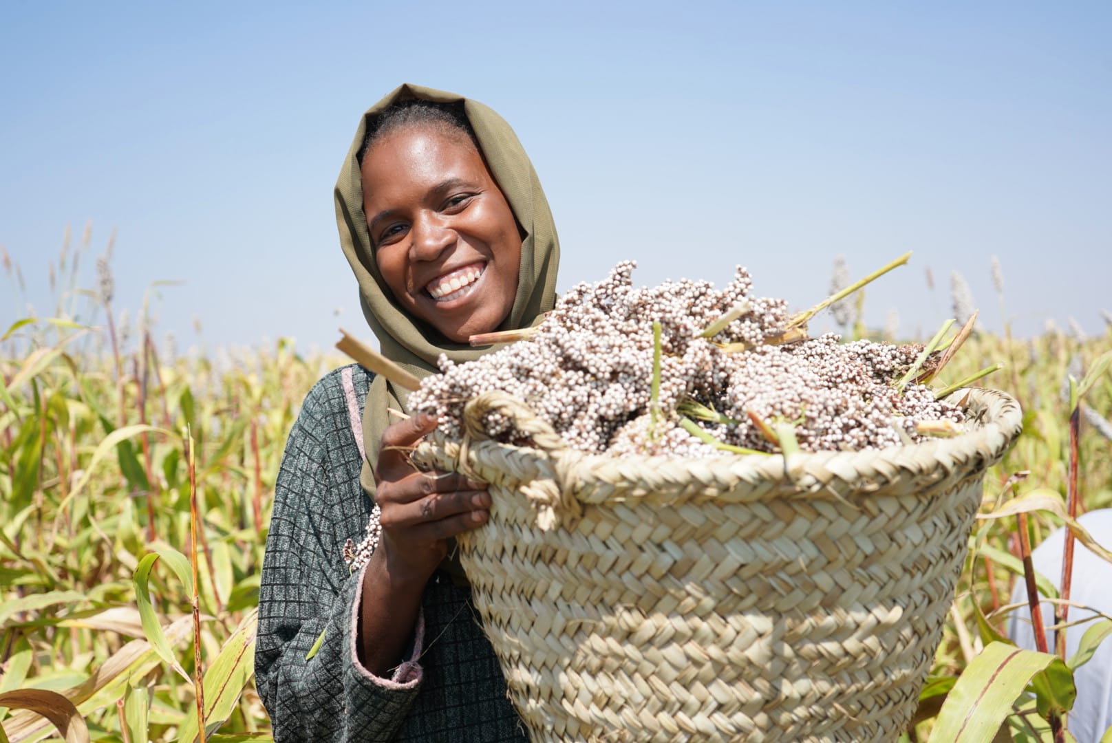 A smiling woman wearing a headscarf stands in a field, holding a large woven basket filled with harvested grains under a clear blue sky.