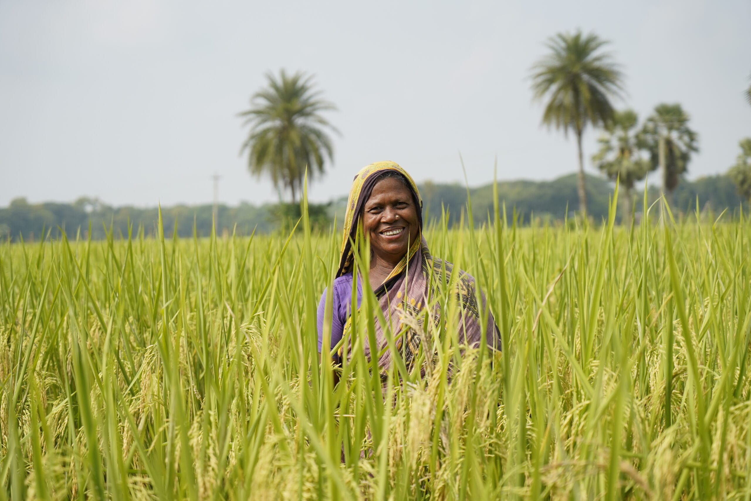 A woman wearing a colourful sari stands smiling in a lush green field of crops, with tall palm trees and a clear sky in the background.