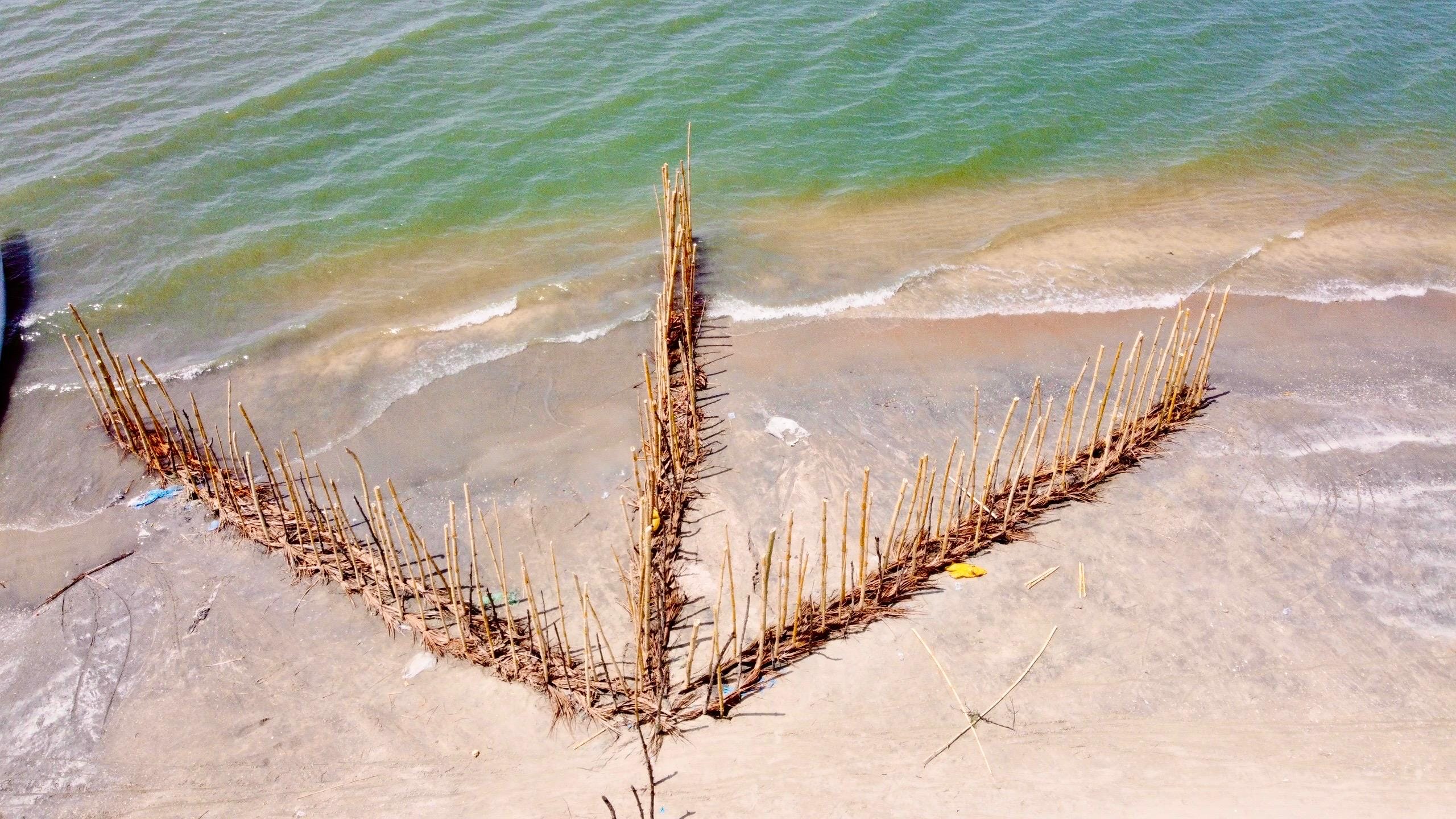 Aerial view of a V-shaped wooden fish trap on a sandy beach where the water meets the shore.