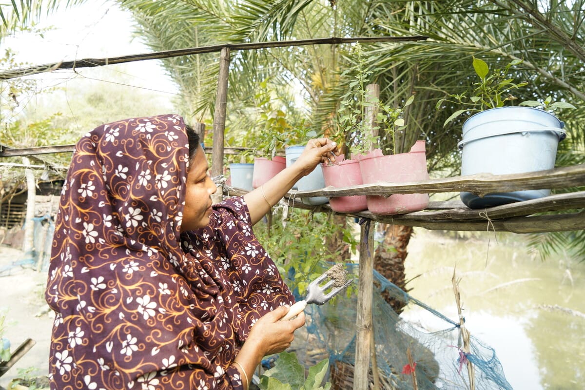A woman in a patterned headscarf tends to potted plants hanging on a wooden structure near a body of water, surrounded by green trees and sunlight.