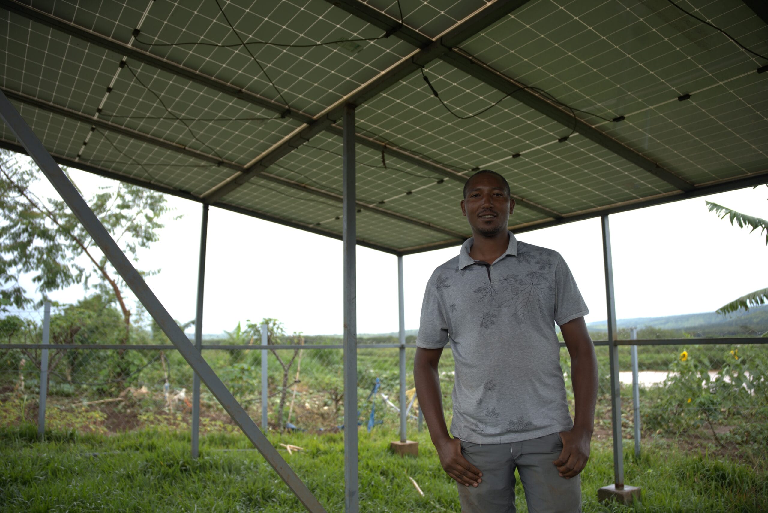 A man stands under a large outdoor solar panel structure, with greenery and trees in the background.
