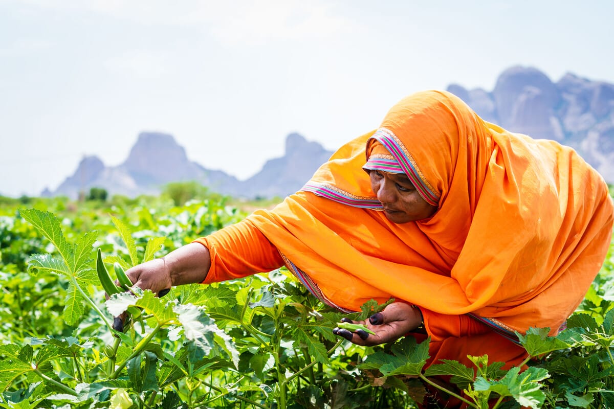 Woman in orange clothing harvests green crops in a lush field with mountains in the background.