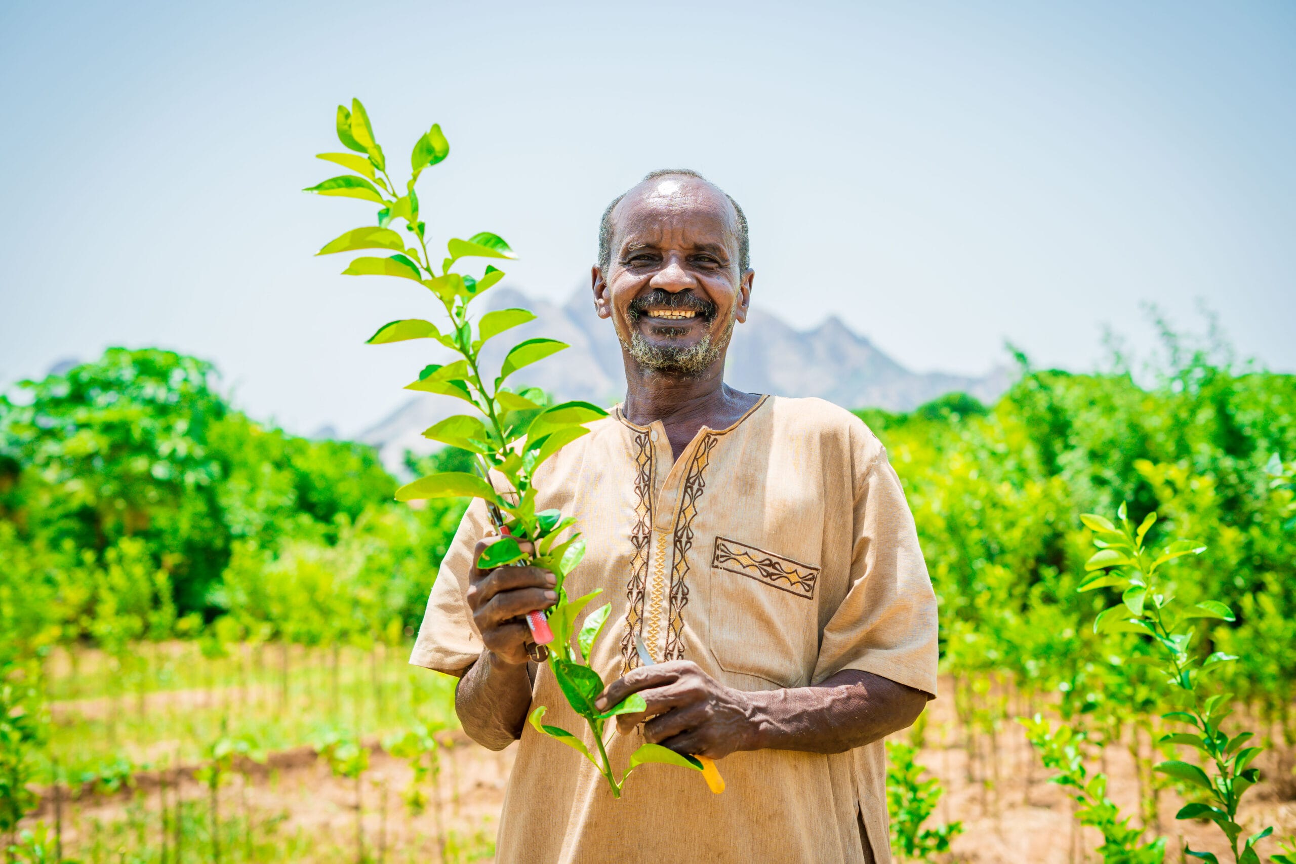 Smiling man in beige shirt holds a green plant in a sunny field with trees and mountains in the background.