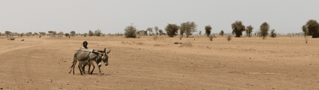 A man on a donkey traveling through the desert highlights the concept of climate change.